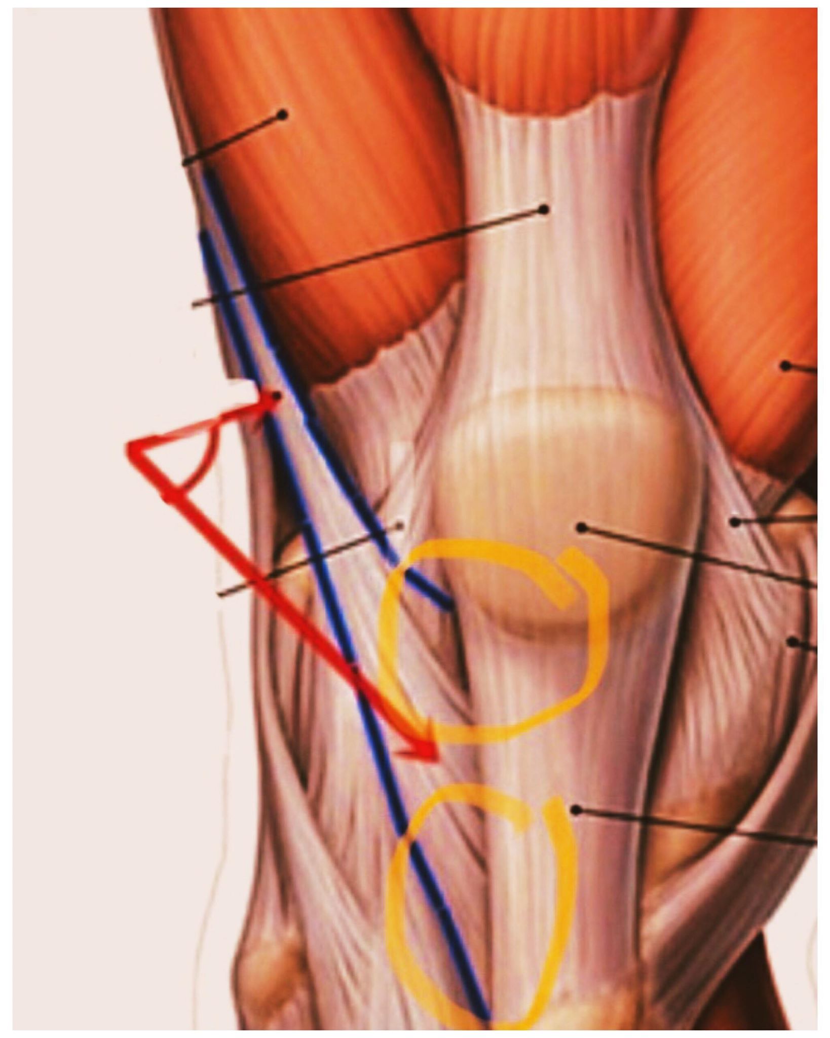 50805308_2168432606742317_4223674820321083392_n